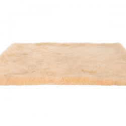 Carpets