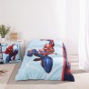 Nordic Duo Licence Spiderman