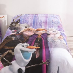 Nordic Duo Frozen Olaf Licence