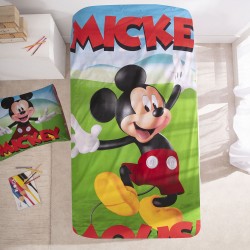 Nordic Duo Mickey Garden Licence