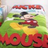 Nordic Duo Mickey Garden Licence