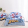 Nordic Duo Spiderman Action Licence